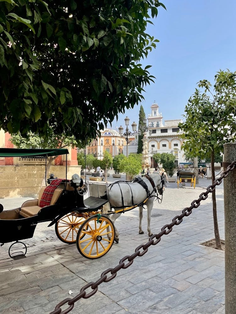 Horse Drawn Carriage, Seville