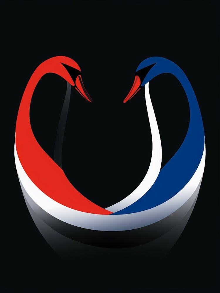 Swan Minimalist Abstract 2