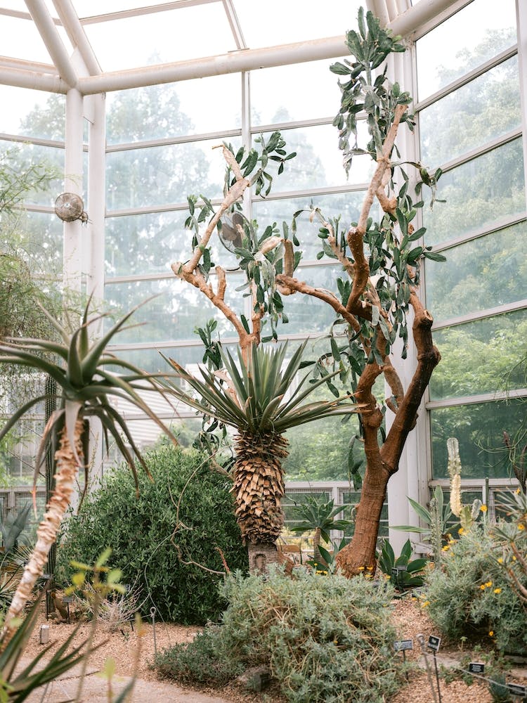 Brooklyn Greenhouse Nyc