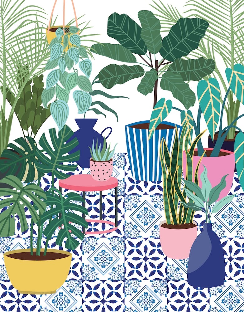 Mediterranean Garden Terrace Tile