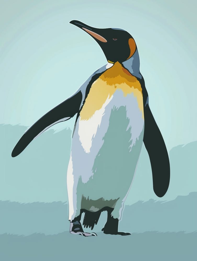 King Penguin Phillip Island Minimalist Illustration 4
