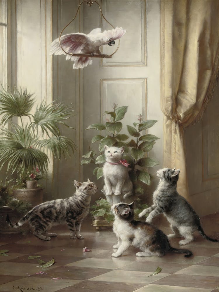 'Cats And Birds'