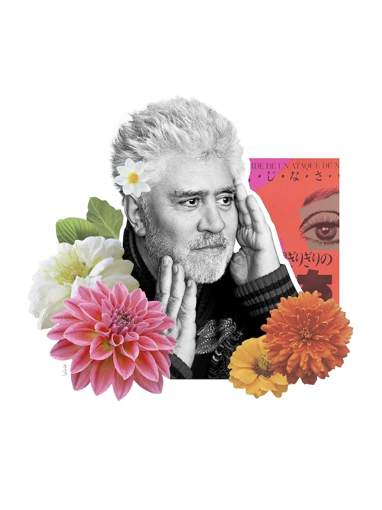 Pedro Almodovar