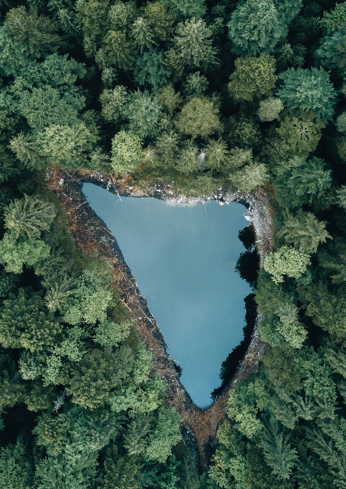 Hidden Forest Lake
