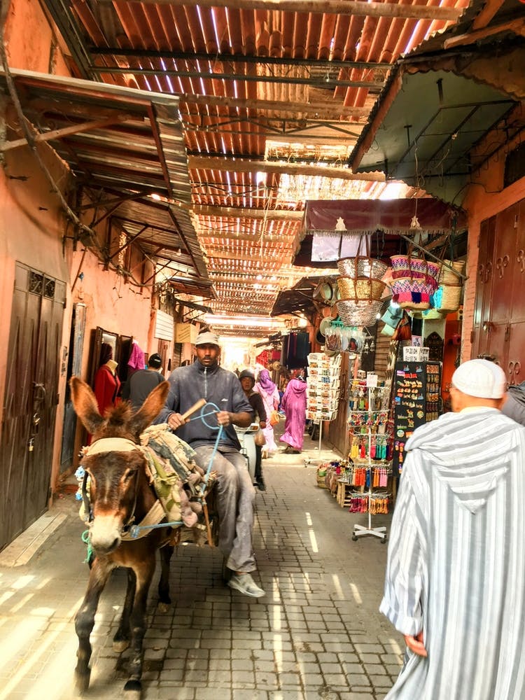 Marrakech Morocco Market With Donkey Cart (Africa Series)