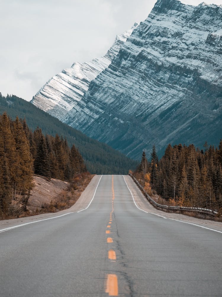 Wilderness Highway