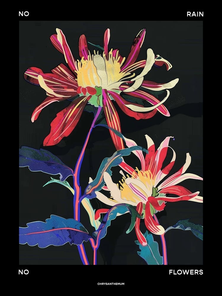 No Rain No Flowers Poster Chrysanthemum 3