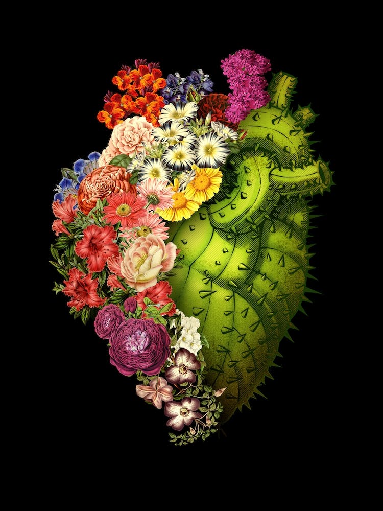 Healing Heart