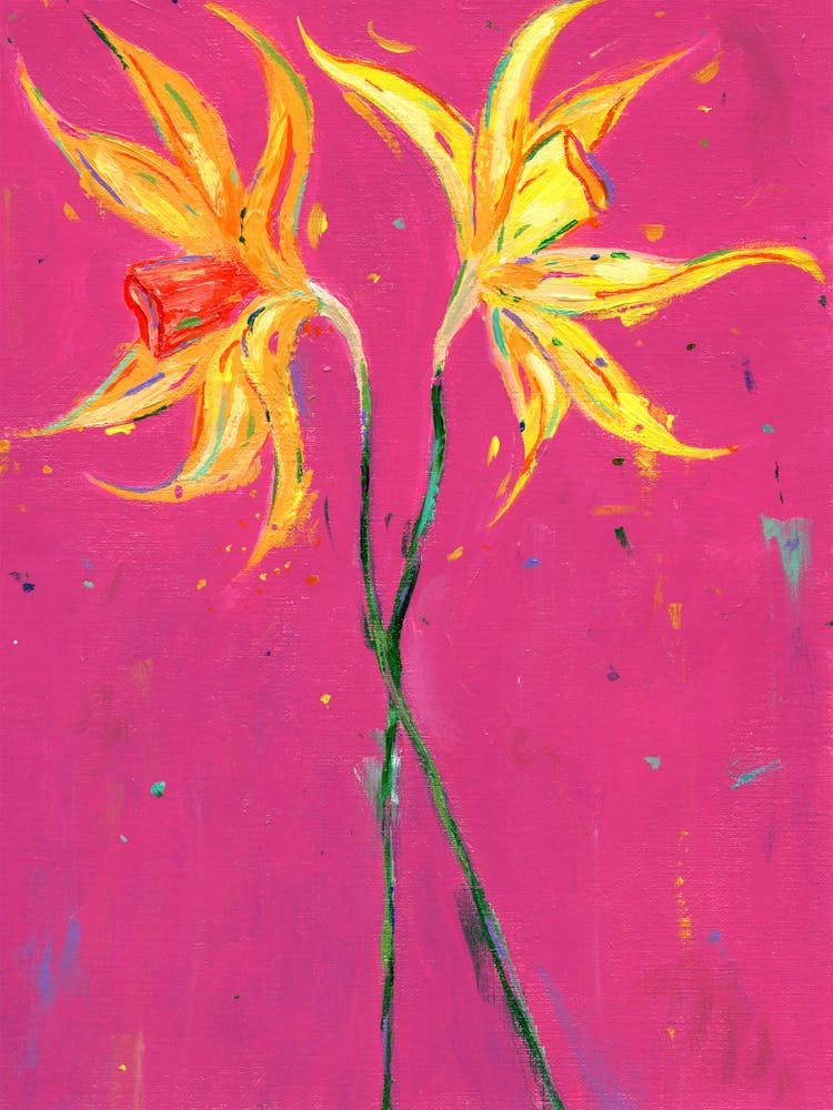 Daffodils