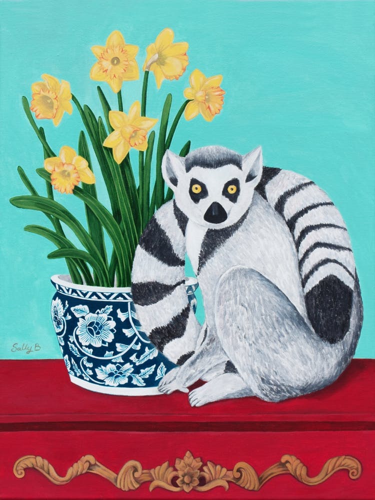 Lemur And Daffodil