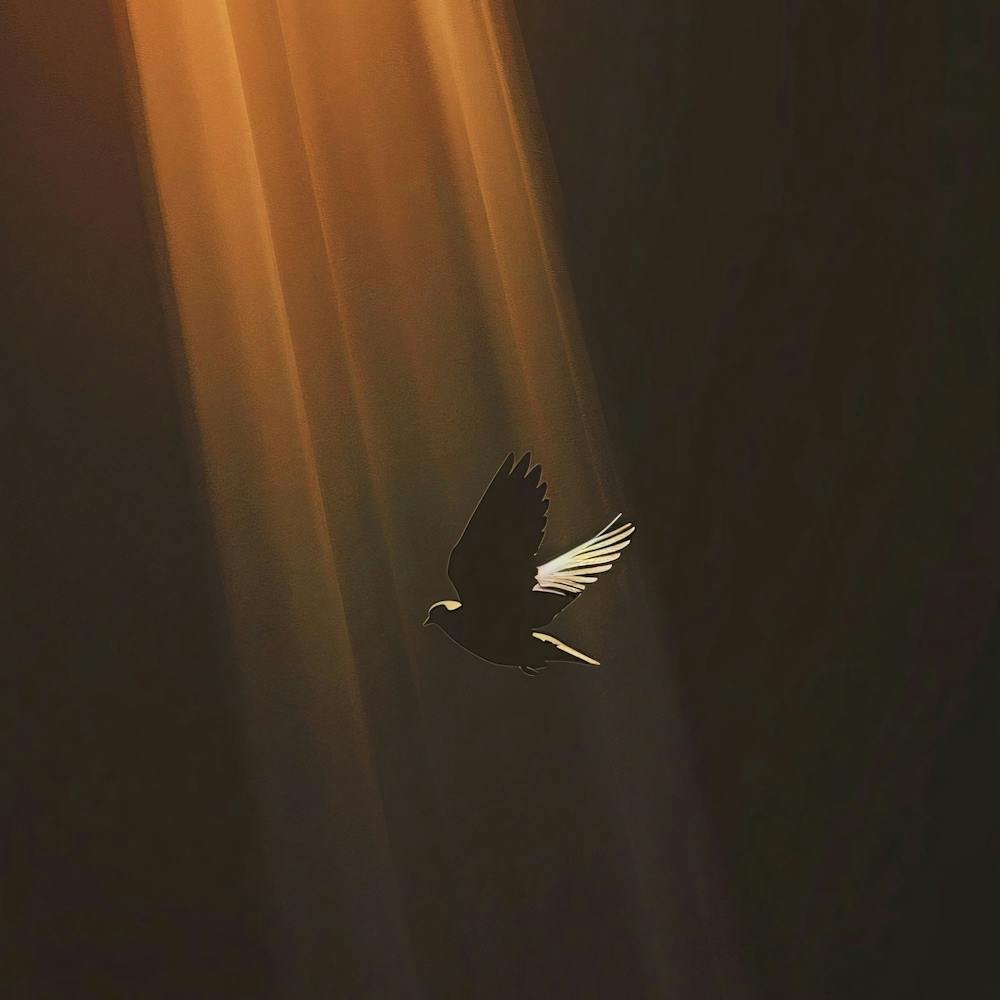 Bird In Flight