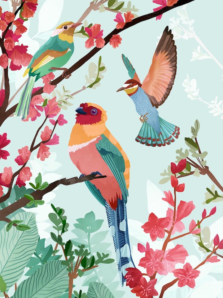 Oiseaux d'Été