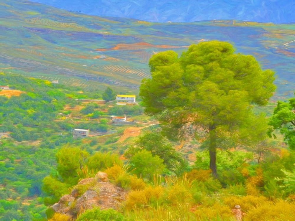 The House With The Yellow Roof