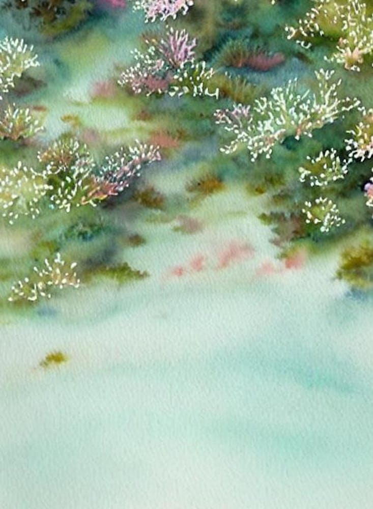 Acropora Plana Ii Aquarelle Conte De Fées