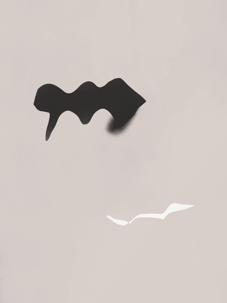 Black And White Shadow
