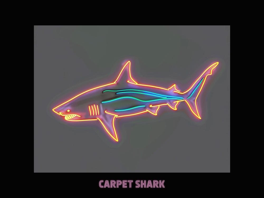 Neon Pink Orange Carpet Shark Poster 3