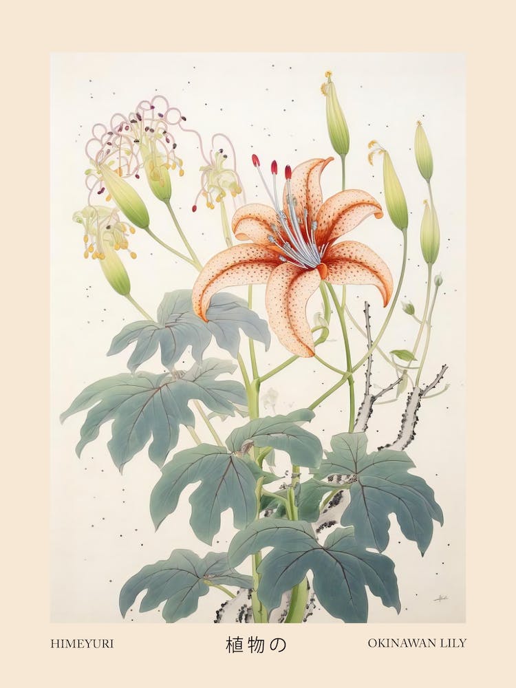 Himeyuri Okinawan Lily 4 Vintage Japanese Botanical Poster