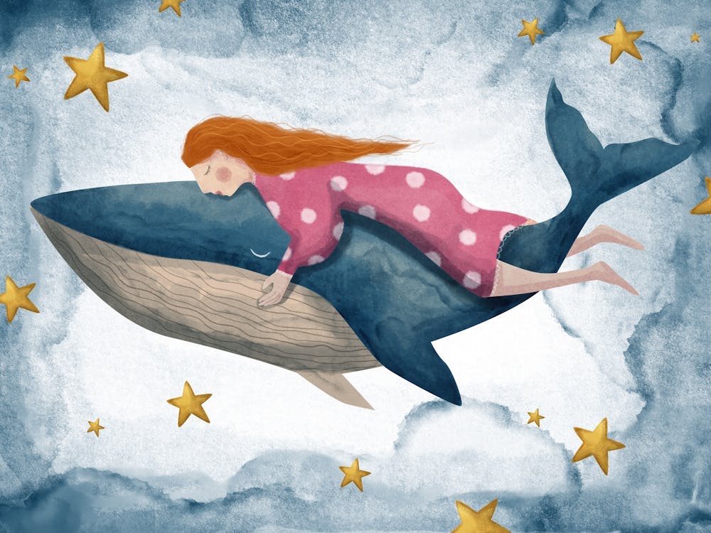 Hugging The Whale