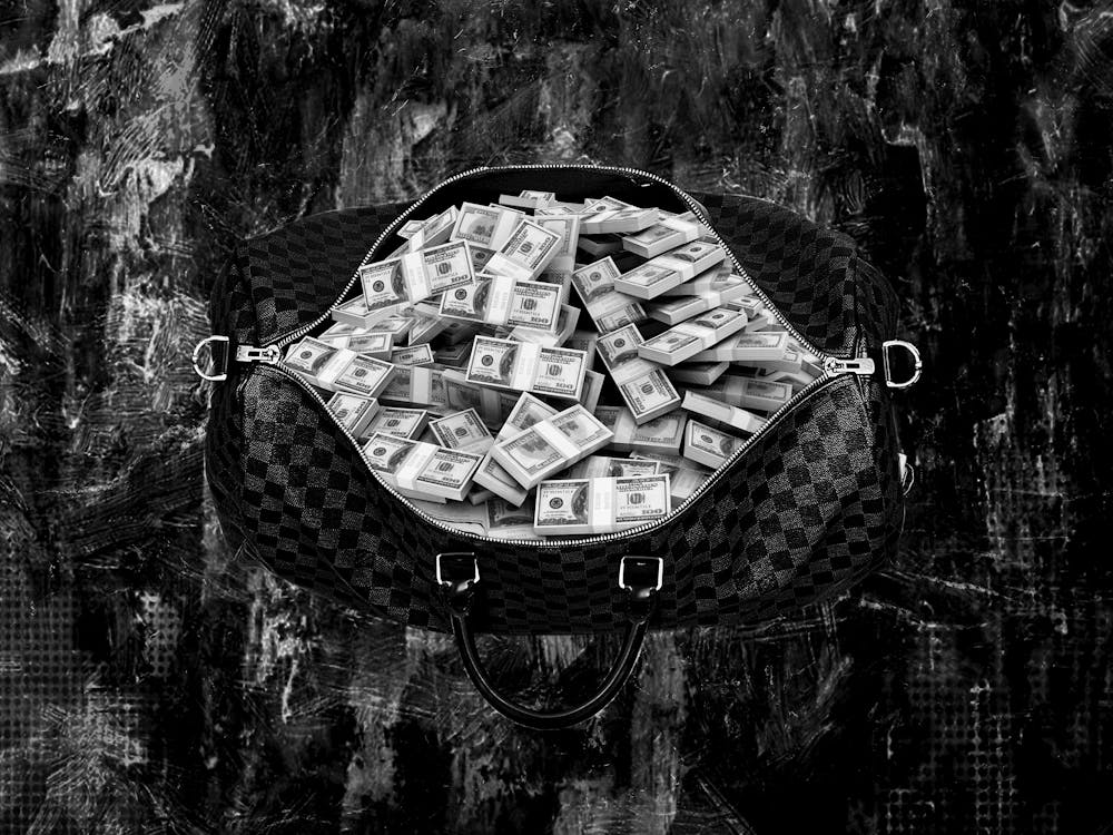 Money Bag 1