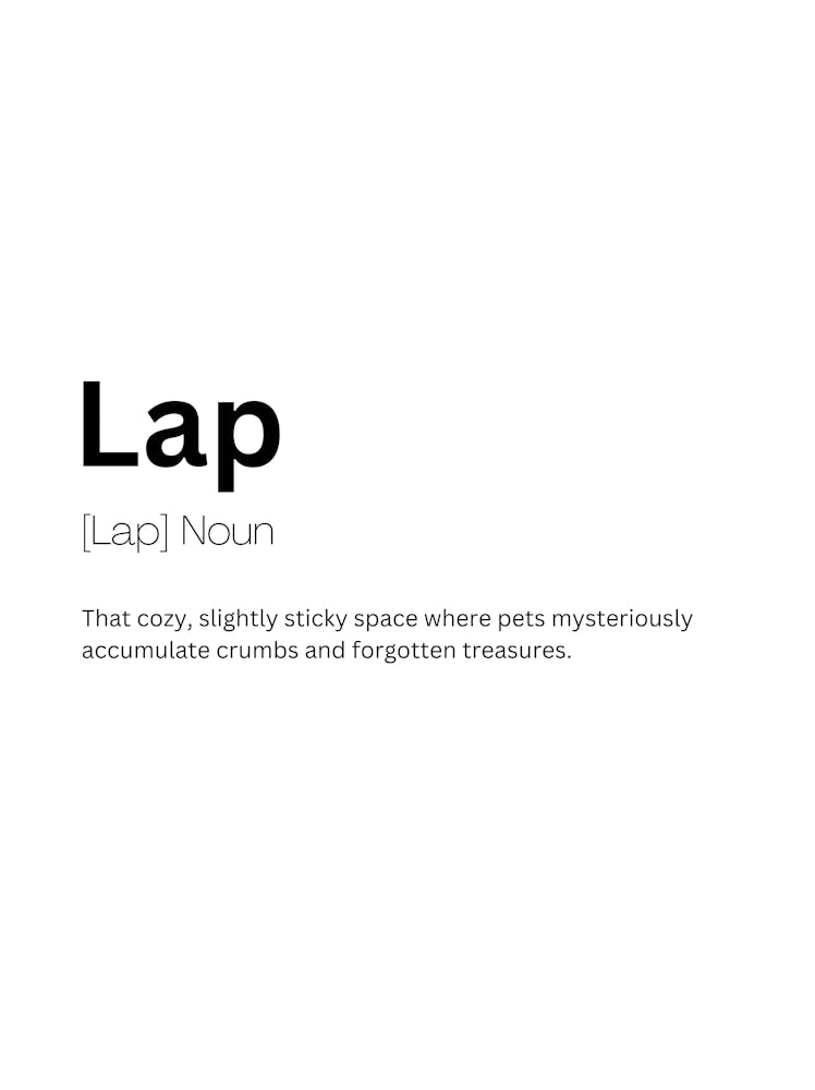 Lap Definition Meaning