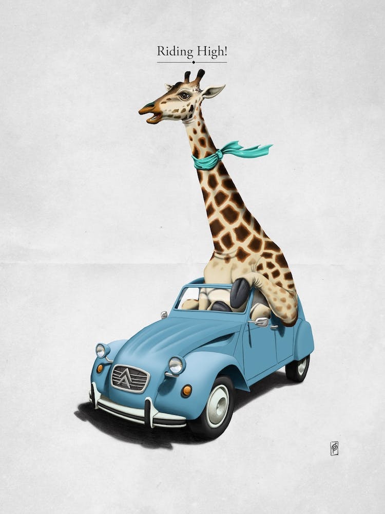 Riding High!