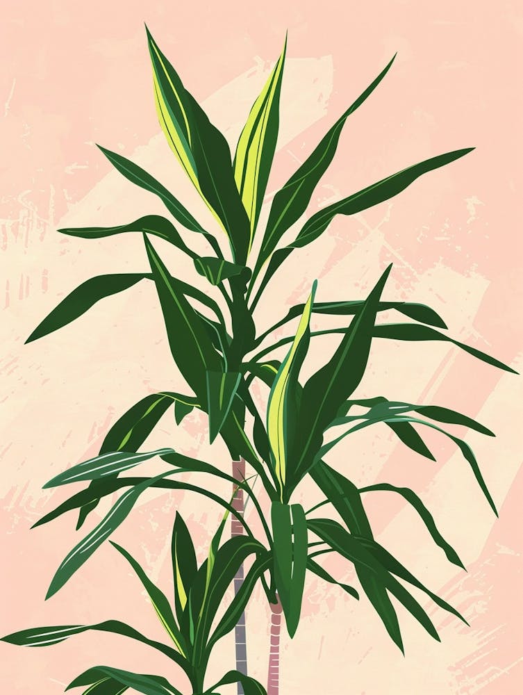 Dracaena Plant Minimalist Illustration 7