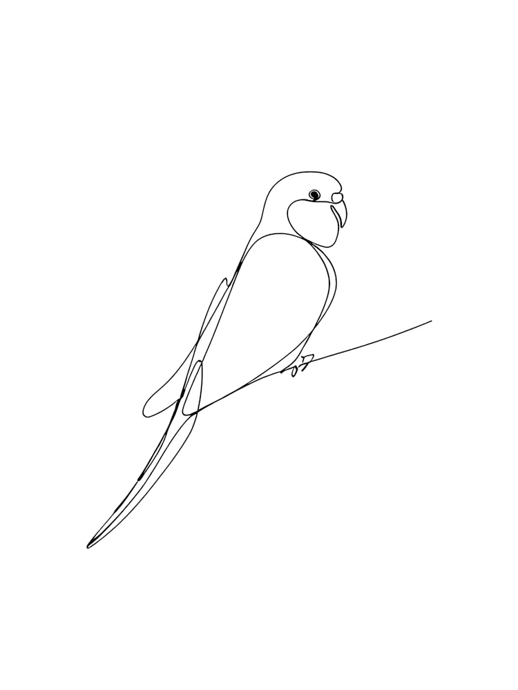 Buddhist Parrot