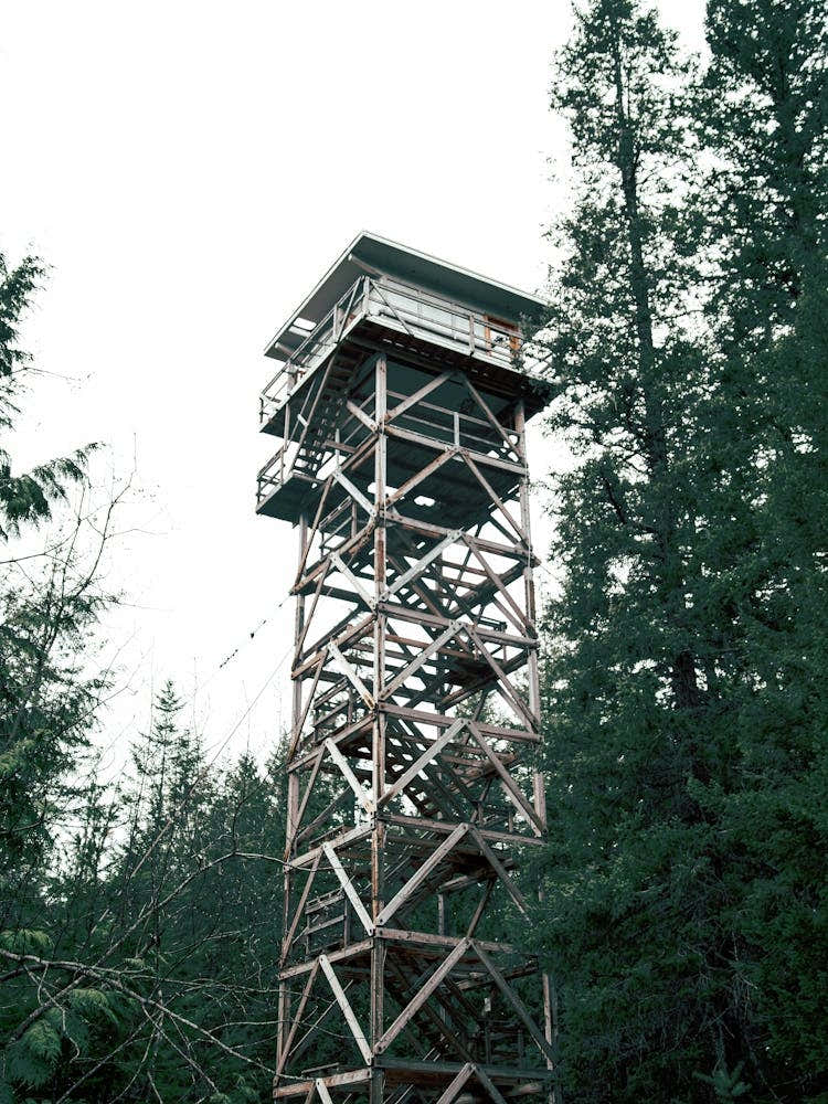 Washington Fire Lookout