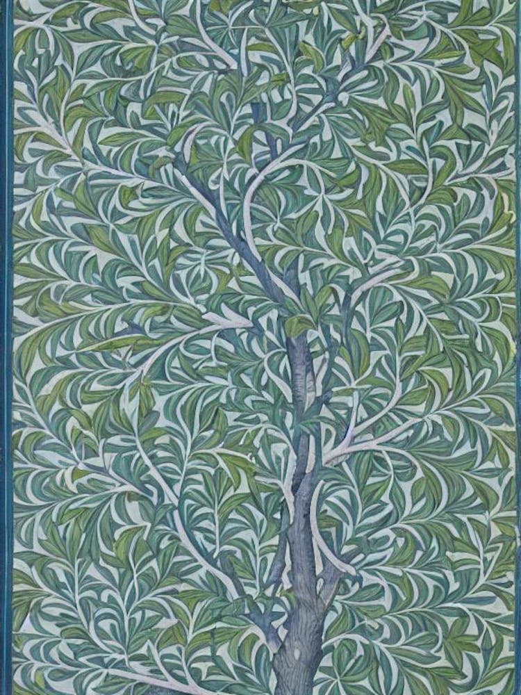 Laurel Oak tree Vintage Botanical