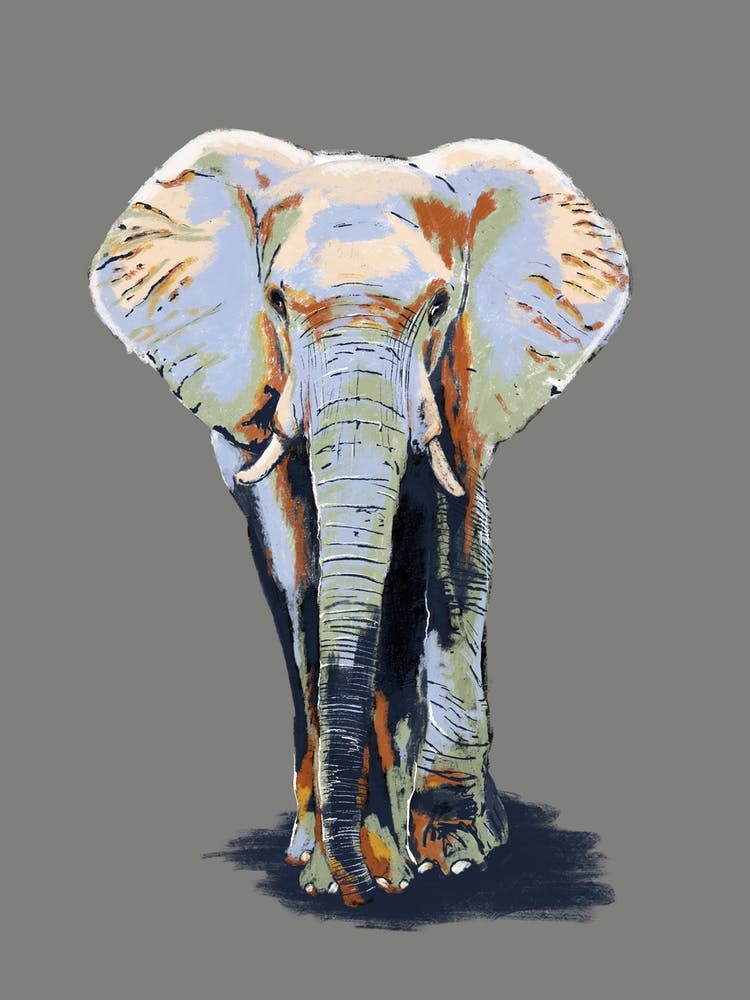 The Elephant