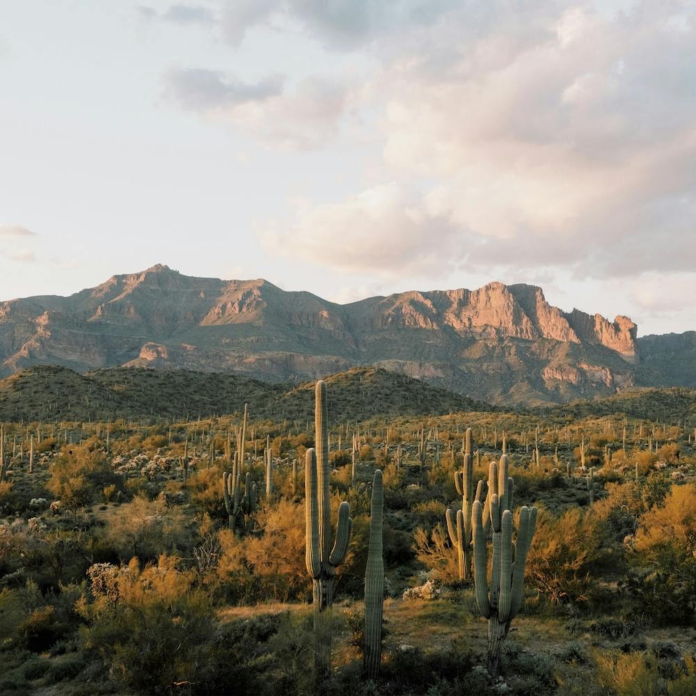 Apache Junction Scenery Square