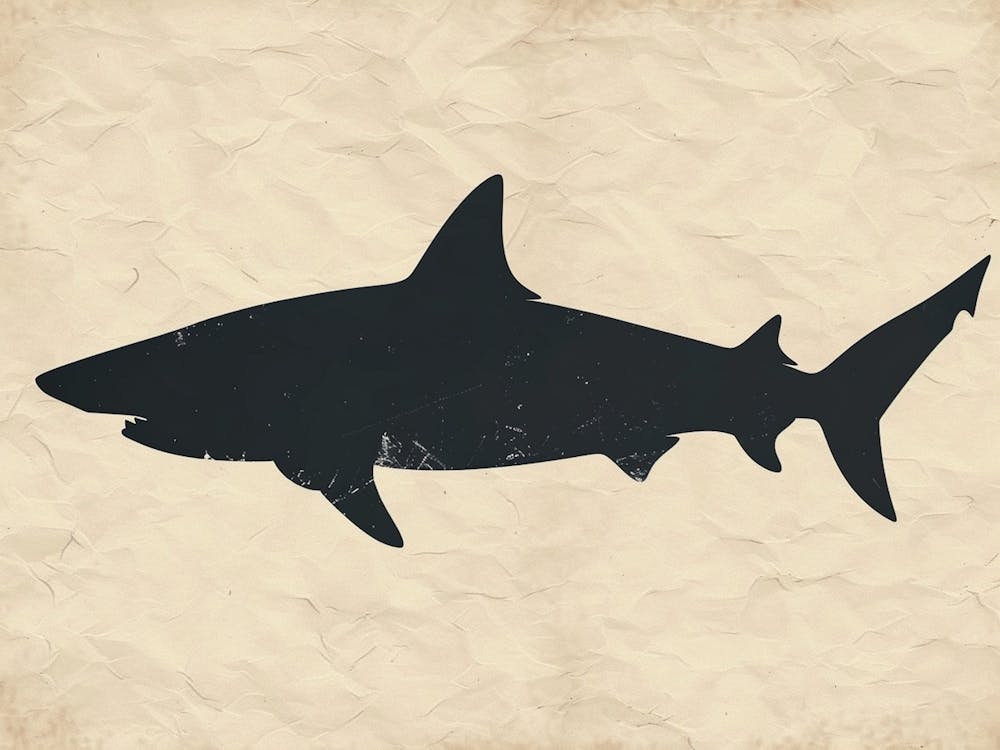 Carpet Shark Silhouette 2
