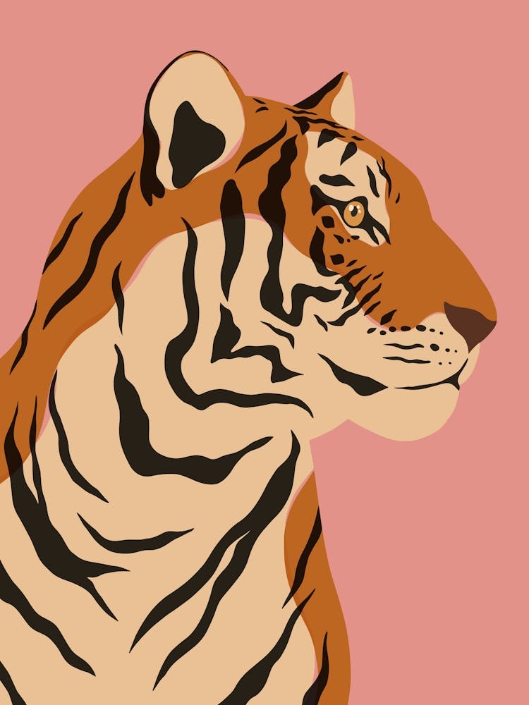 Jungle Safari Tiger on Pink