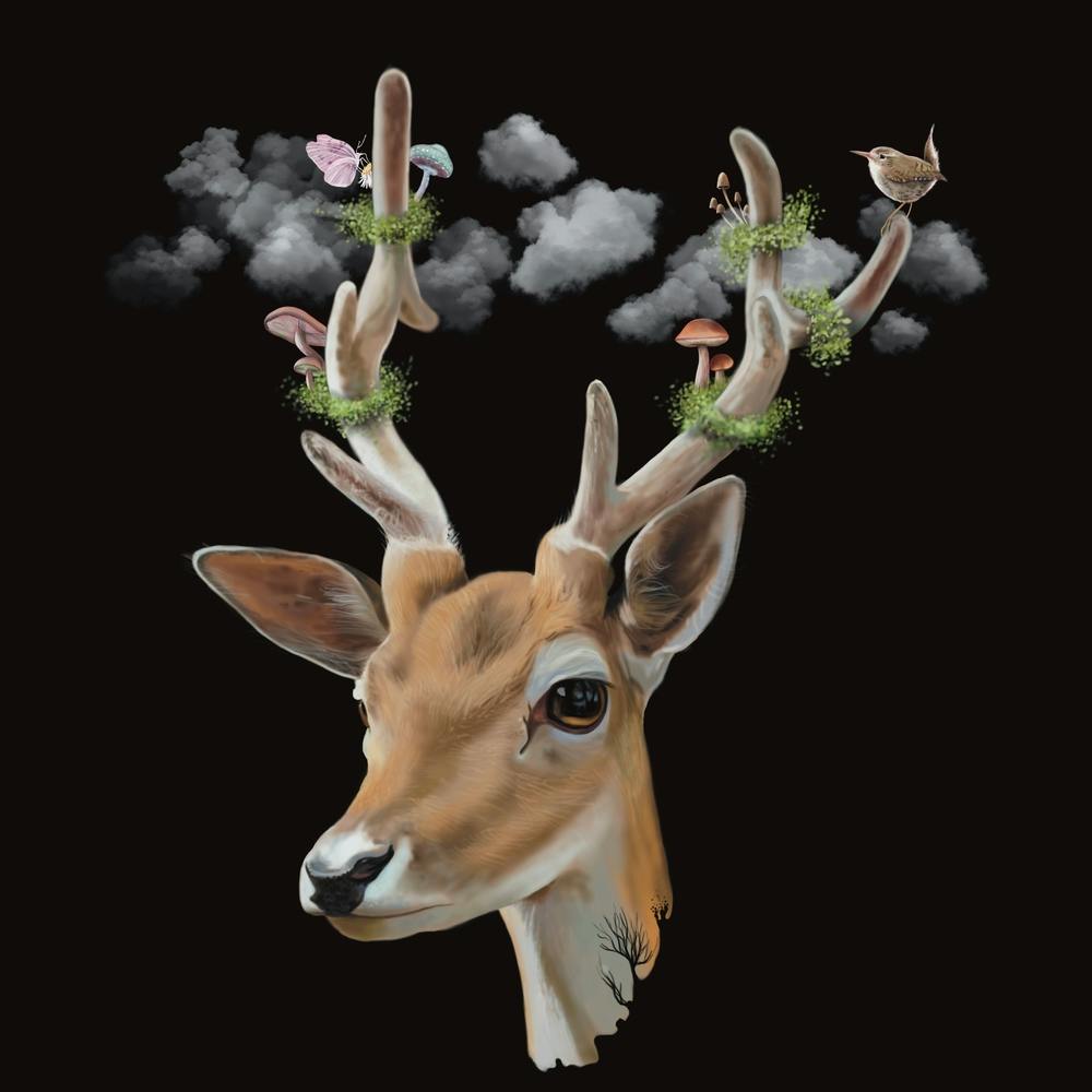 Tête De Cerf 1