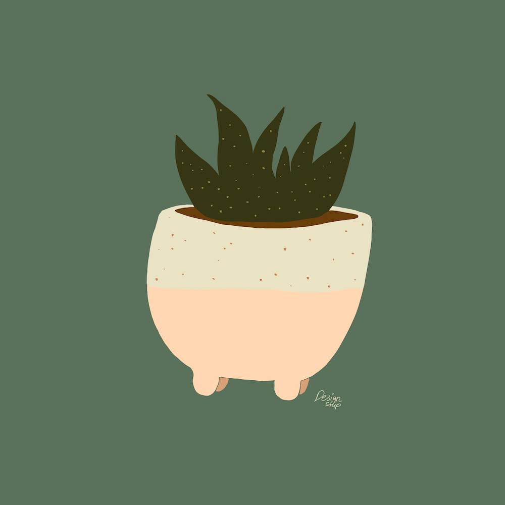 Pot Plant