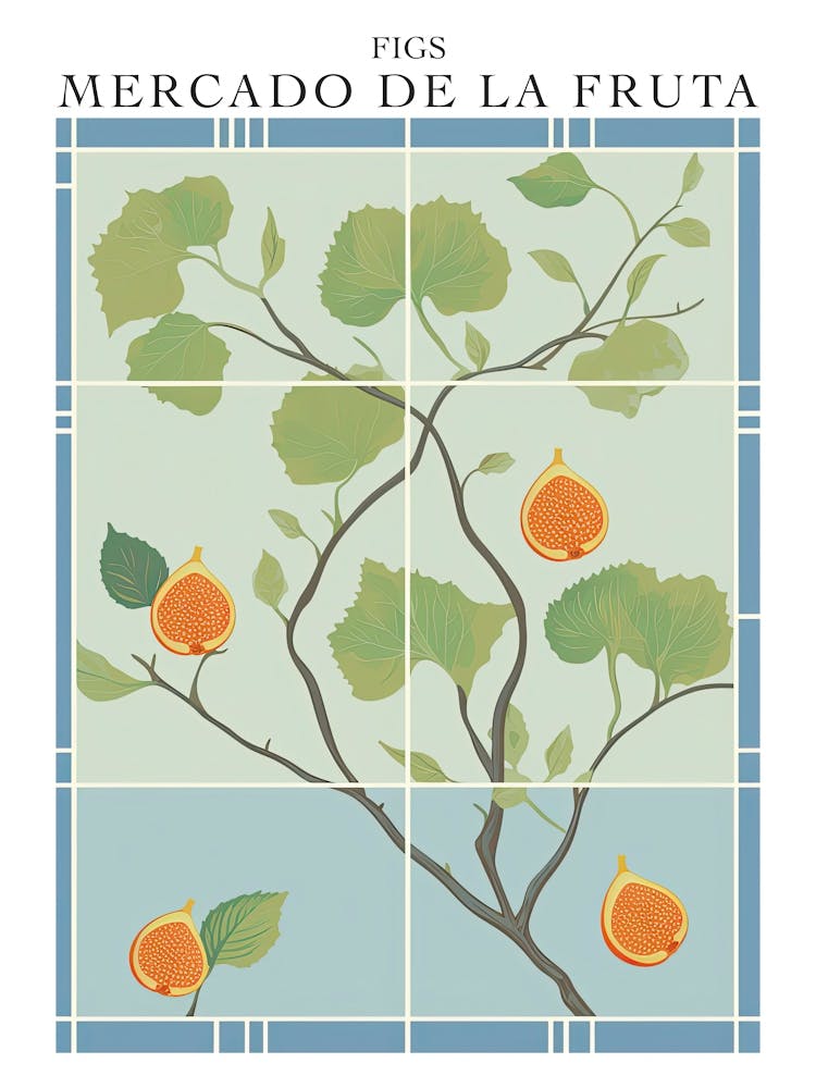 Mercado De La Fruta Figs Illustration 8 Poster