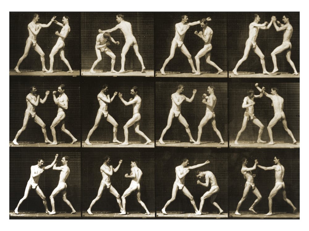 Two Men Boxing From The Animal Locomotion