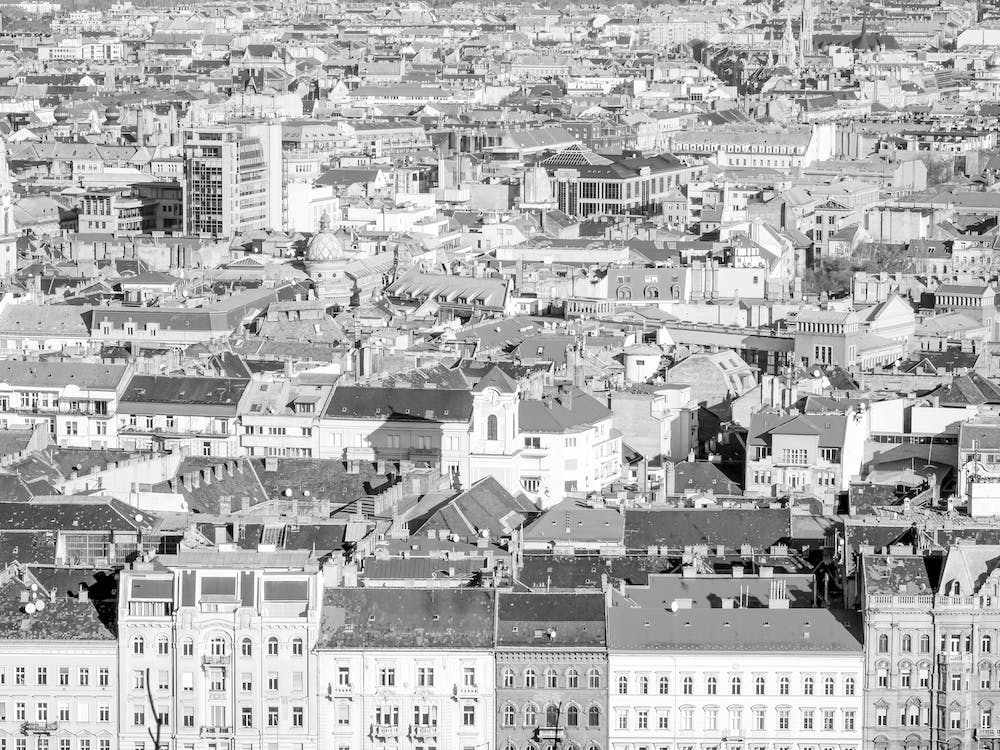 Black And White Budapest Rooftops