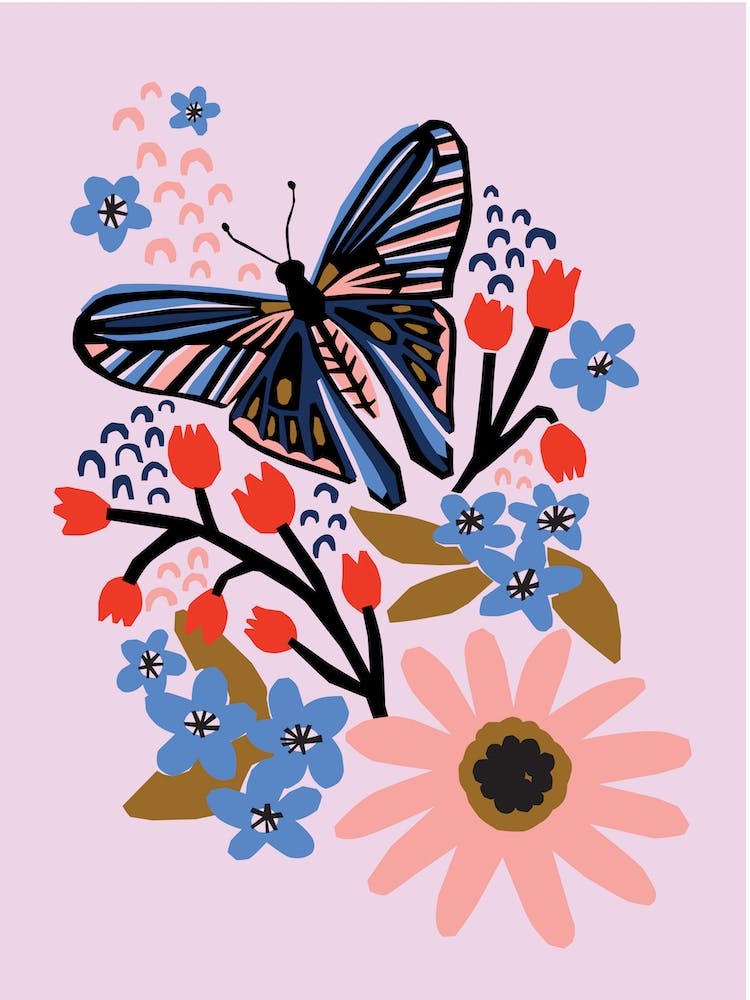 Day Butterfly