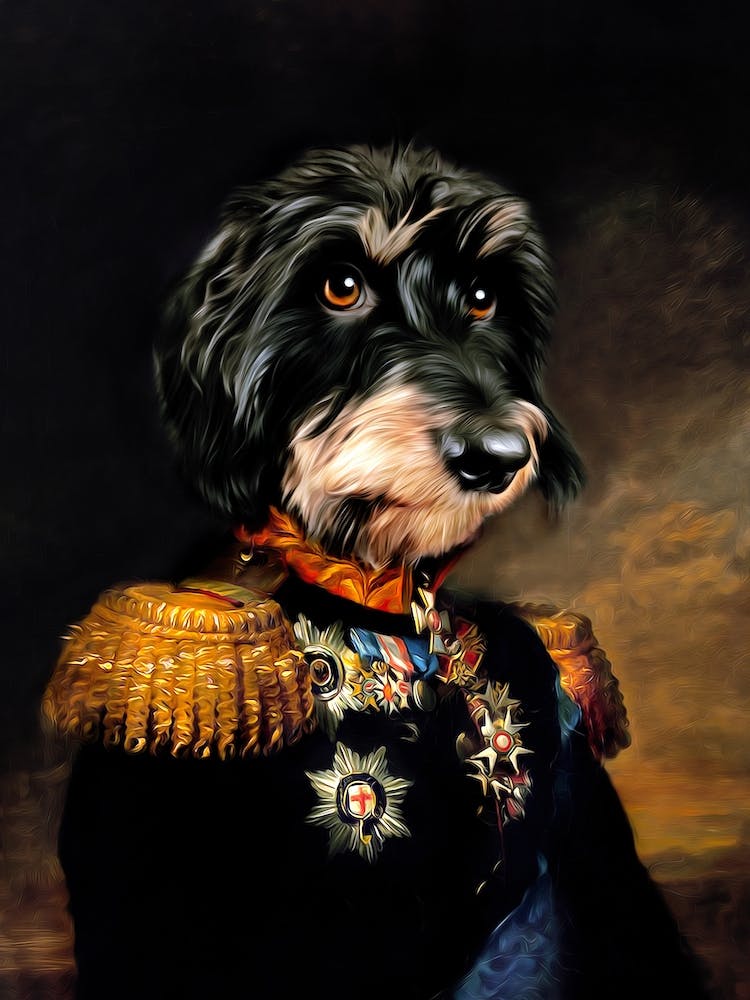 Serious Jules The Dachshund Pet Portraits