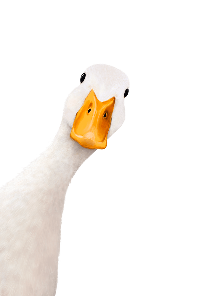 Goose