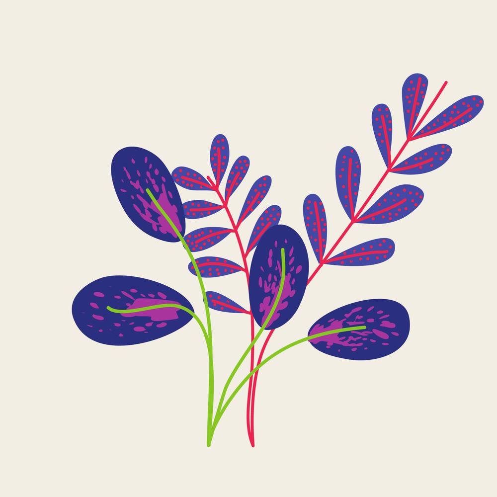 Lily Of The Valley 1