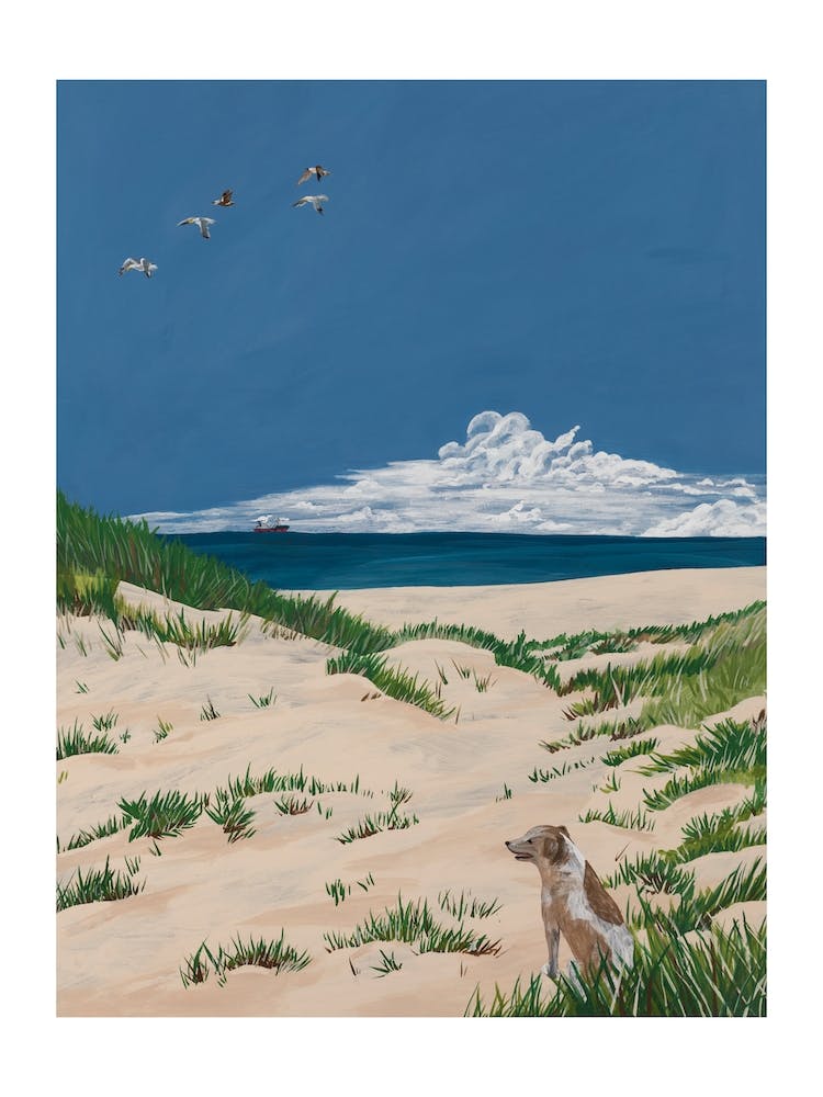 Under A Blue Sky 2