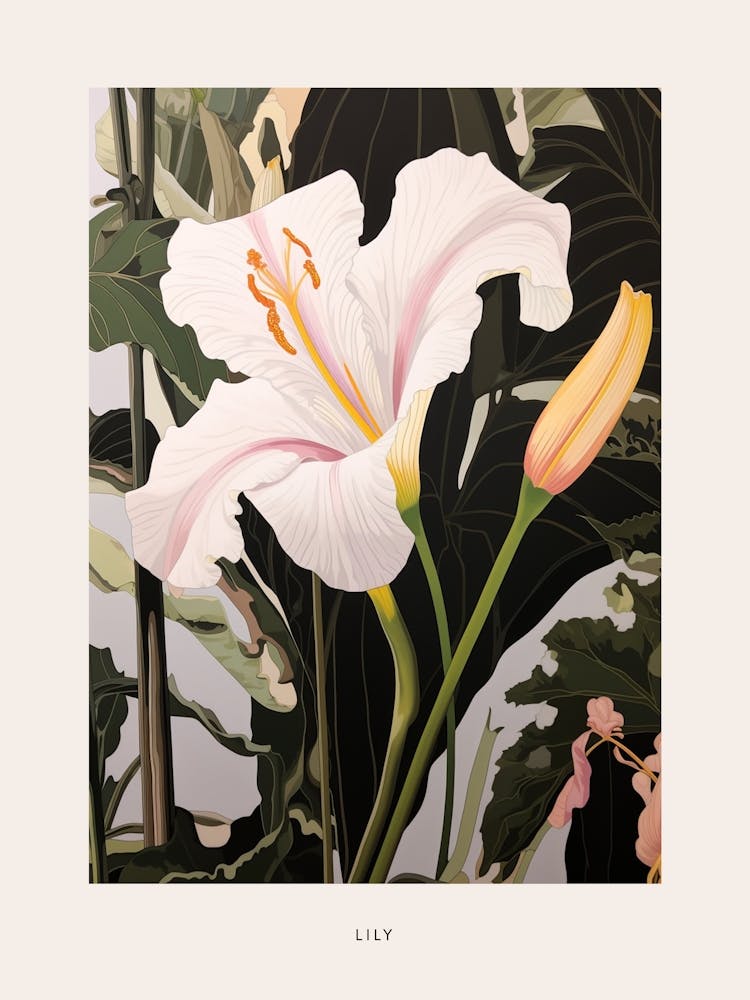 Flower Illustration Lily 4 Poster