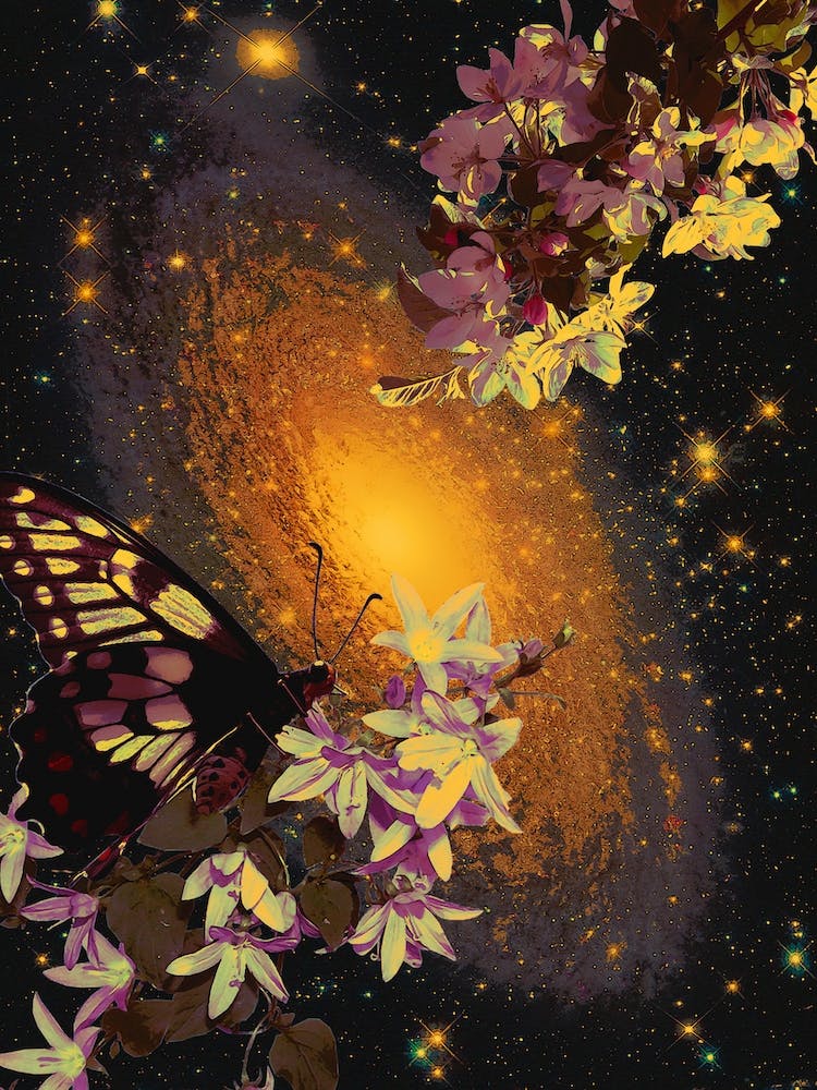 Surreal Science Fantasy Galaxy Butterflies