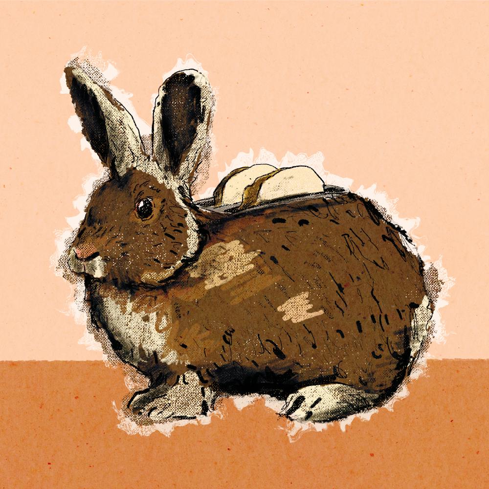 Bunny toaster, rabbit, toast, illustration, wall art