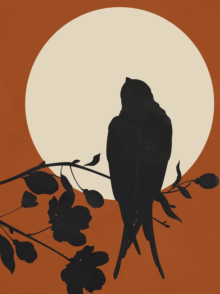 Touch Of Bloom 1