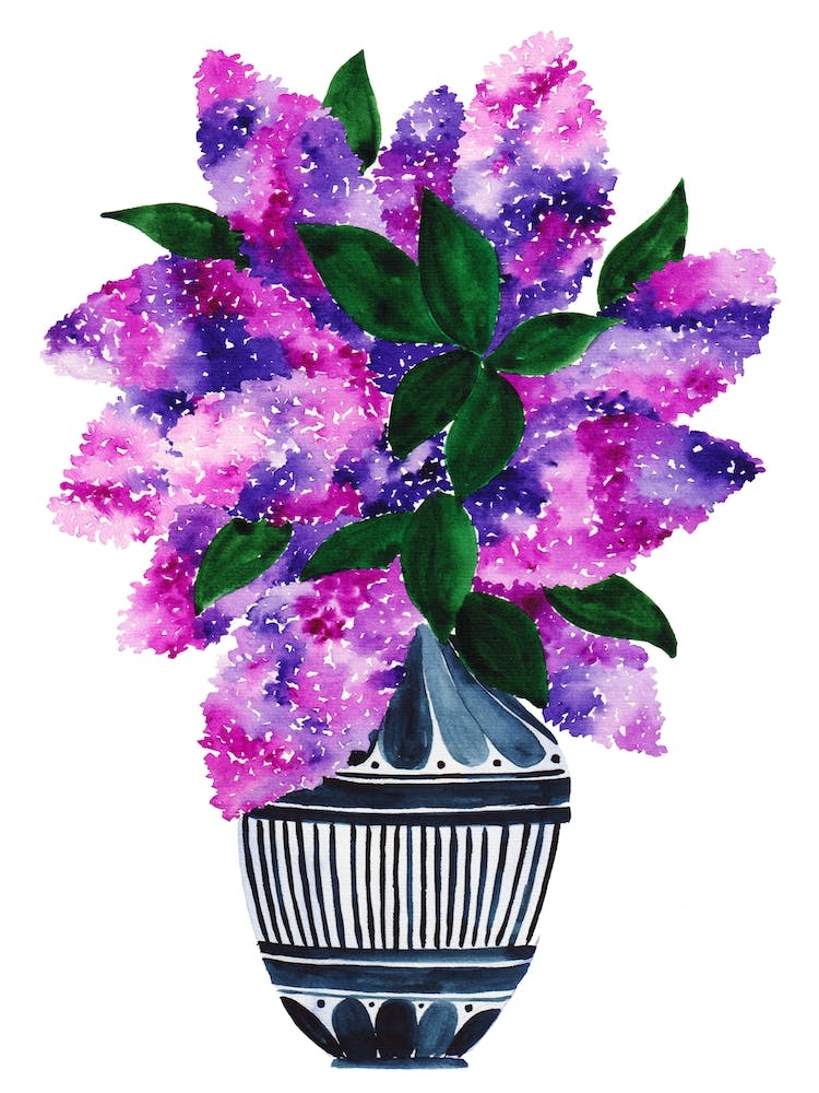 Lilacs Watercolor