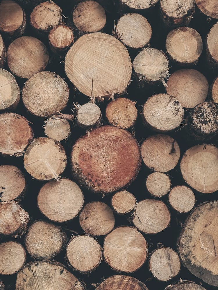 Dolomites, Italy I Stack of cut wood logs for a natural geometric round pattern photography with a rustic feel and cozy warmth of a farmhouse in the Italian countryside with a dark brown moody aesthetic
