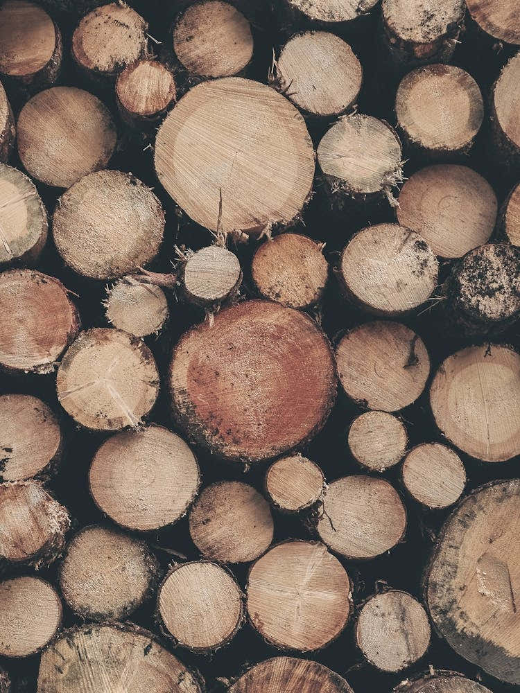Dolomites, Italy I Stack of cut wood logs for a natural geometric round pattern photography with a rustic feel and cozy warmth of a farmhouse in the Italian countryside with a dark brown moody aesthetic
